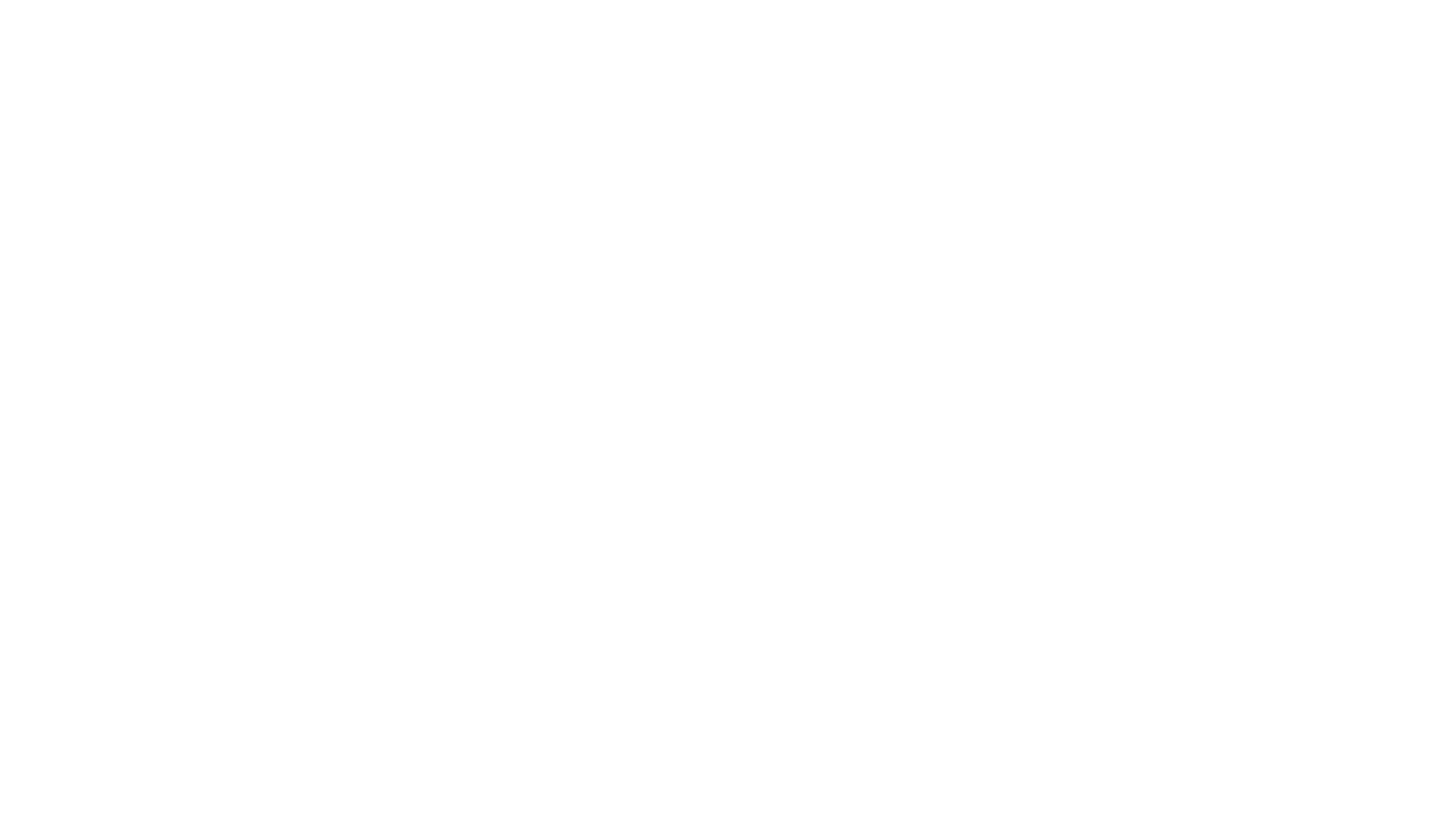 Fight Sports